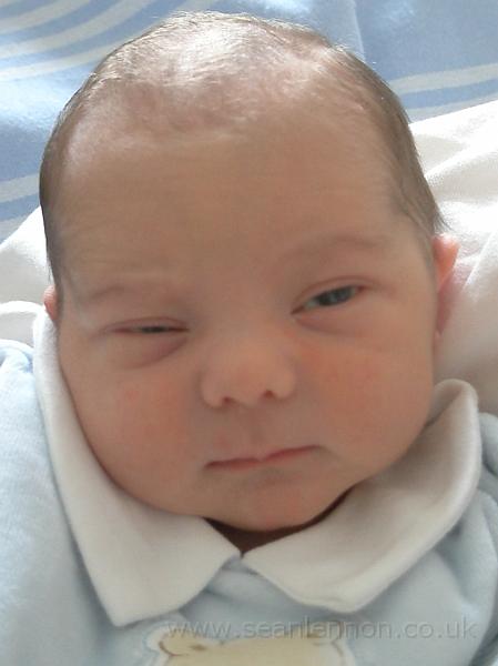 Loris Lennon (16-12-09) 004.jpg - OLYMPUS DIGITAL CAMERA         